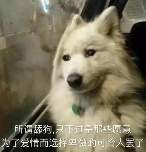 网友质疑rng道歉视频造假,你觉得呢
