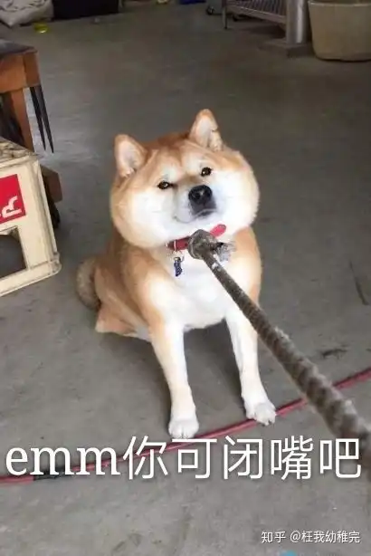 qq上女生让你闭嘴该怎么回答

