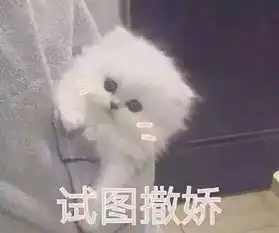 e句话看天下丨患病网红不顾劝阻执意怀孕,是正能量还是道德绑架
