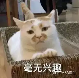 小猫为什么爱咬人的手指
