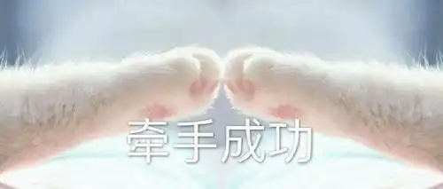 找男友啦
