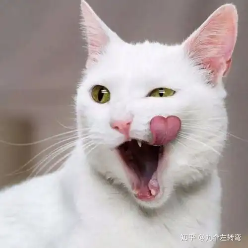 卵巢囊肿腹腔镜手术过程
