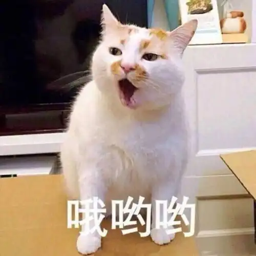 你的表情包该换血了保证你出门斗图再也不输
