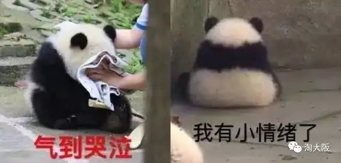 为上野小熊猫香香量身定制的tokyobanana真的很萌
