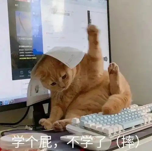 大学专业吐槽大会,你的专业上榜了吗
