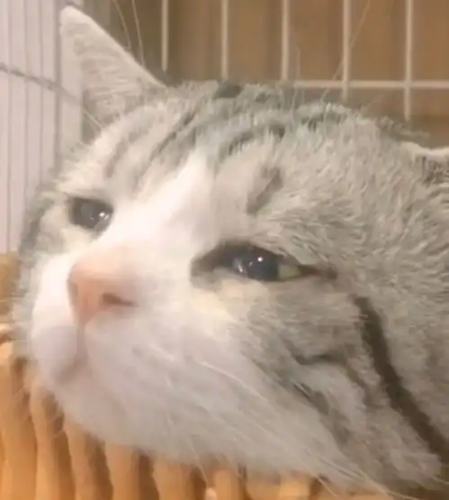 尾随
