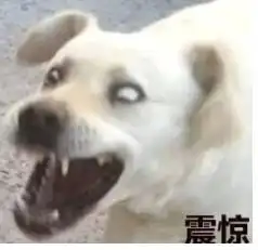 中华直男魅力时刻身高165长的帅是什么验,梁静茹给了他们勇气
