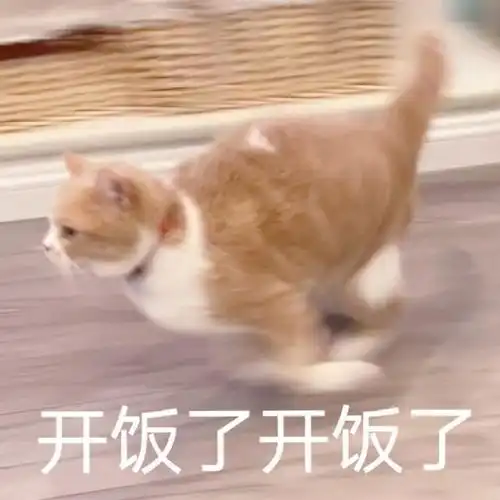 表情包你要是唠这个,我可就不困了啊
