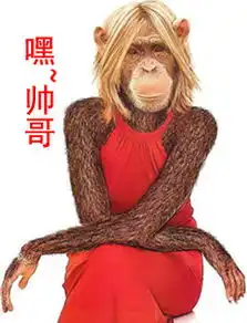 qq表情搞笑qq表情动物图片嘿,帅哥
