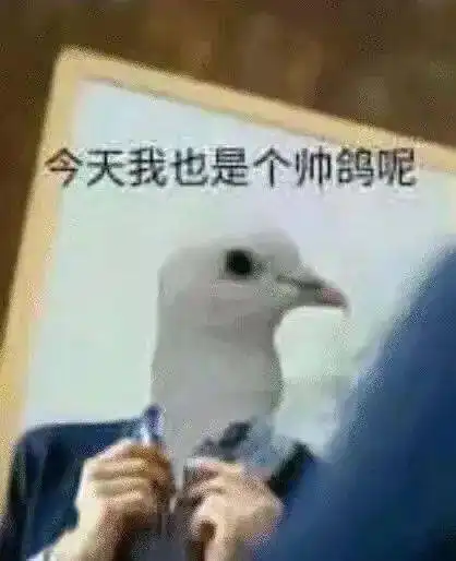 速冻版换季er的快乐密码
