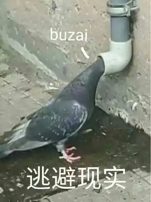 笑话集锦
