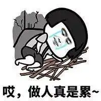 爸妈微信头像不能用猫,赶紧给我换了
