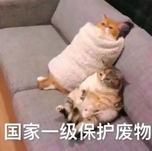 自我隔离14天之后,我们都变了
