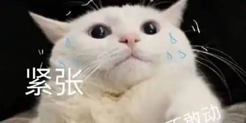 微信群里发这种表情包,男子被拘9天