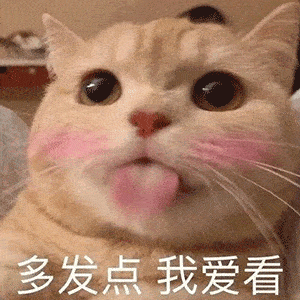 5..2..0..朋友圈请屏蔽我谢谢第101期喵表情