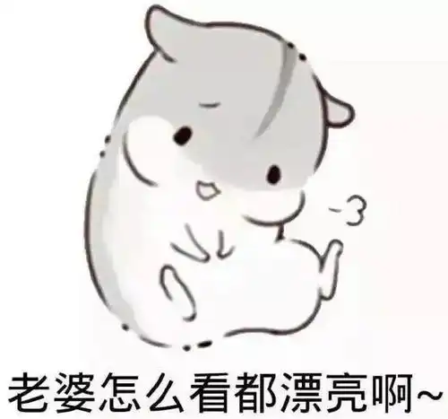 仓鼠卖萌表情包小晴