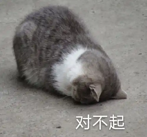 萌宠表情包来自单身狗的羡慕