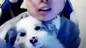 边牧也太可爱了
