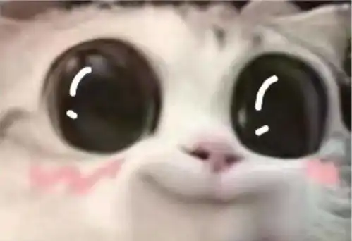 一周情侣第二辑
