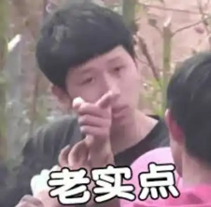 基于官方规范系列篇之html篇二html语法
