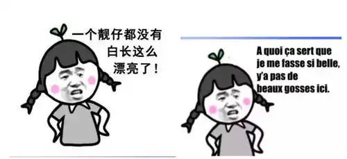 聊天尬住不如回复一个法语表情包
