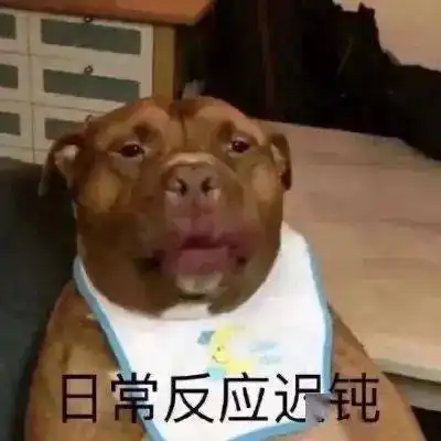 每晚欢乐沙雕表情包

