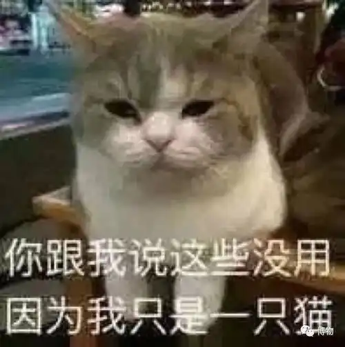 搞笑表情包微信高数