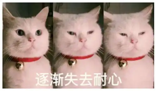 国寿的国寿福和平安的平安福哪个好
