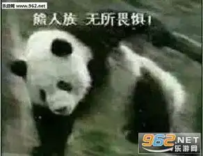 兽人永不为奴熊人族无所畏惧表情包下载无水印完整版乐游网游戏下载