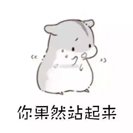 仓鼠表情包我知道我伸出手

