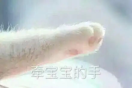 牵宝宝的手套路表情包合集牵手成功牵手失败
