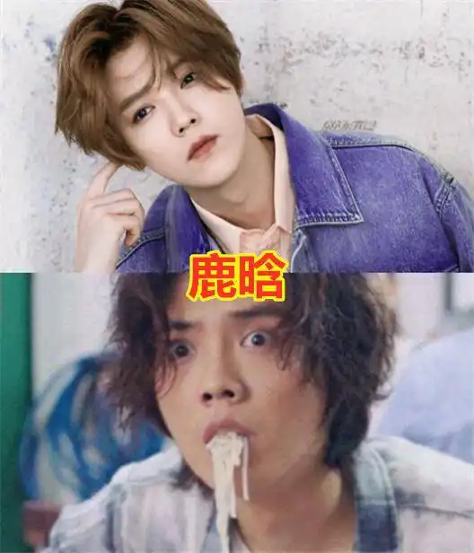 把颜值摁地上摩擦的明星,小李子胡歌还好,看到鹿晗偶像包袱不要了
