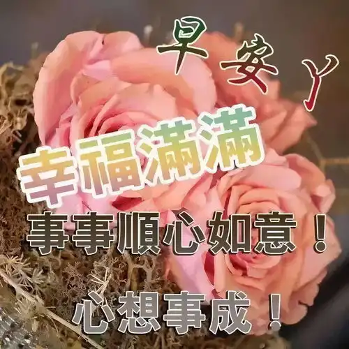 早晨问安凡是走过的路,都会留下痕迹,早晨好
