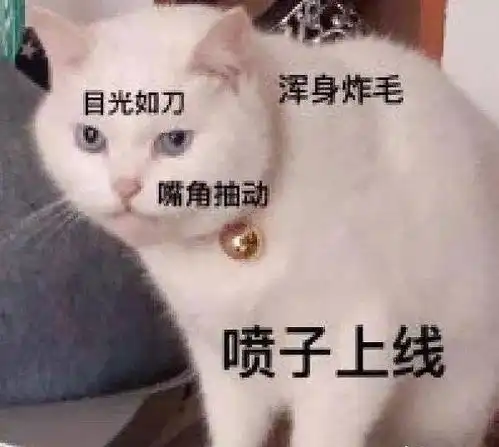 帮我一个许魏洲路路路路路路路路人粉的朋友发,她...
