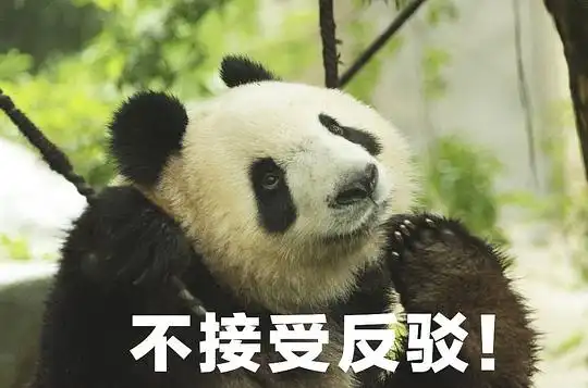 浠墨的相册大熊猫表情包
