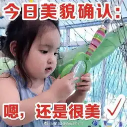 精致的猪猪女孩内服外敷记录17.11
