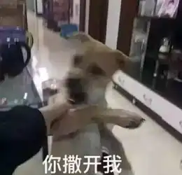 泰国广告太太太太太神了
