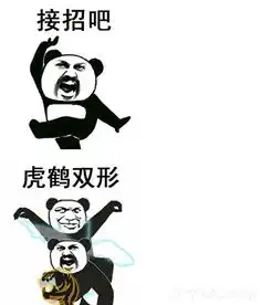 高清无水印抖音功夫表情包
