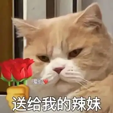 表情包真是谢谢您,有被无语到