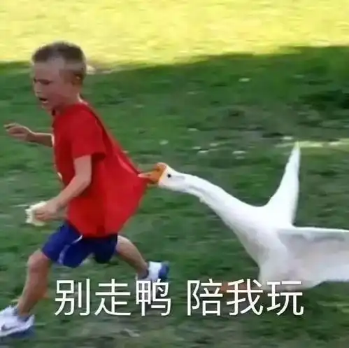 表情包我捡垃圾回来了
