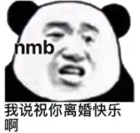 怼人熊猫头表情包
