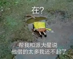 听说最近有个叫派大星的到处骗钱
