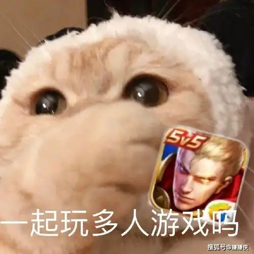 动图表情包对方已开启床位共享模式
