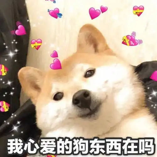 合集汪星人表情包
