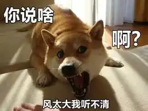 主人,你是要先吃饭先洗澡还是要先溜我

