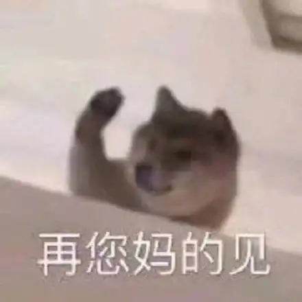 今日份的搞笑可爱表情包已送达
