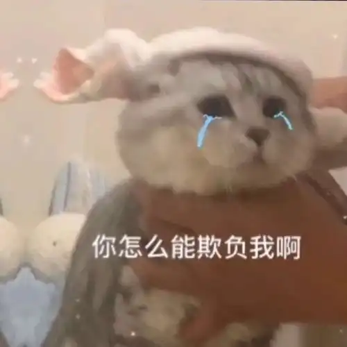 有没有类似这样有点怂还皮皮的表情包呀
