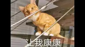 欢迎三花回归晚了
