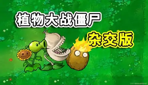 植物大战僵尸杂交版电脑下载教程附高清补帧工具使用教程
