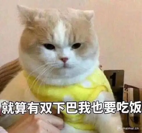 动物冲去吃饭表情包假笑